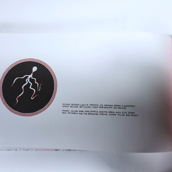 Sticks Angelica Folk Hero by Michael Deforge (English) Hardcover Used-VG - Picture 6 of 11